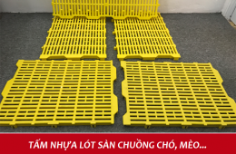 SÀN NHỰA CHÓ MÈO